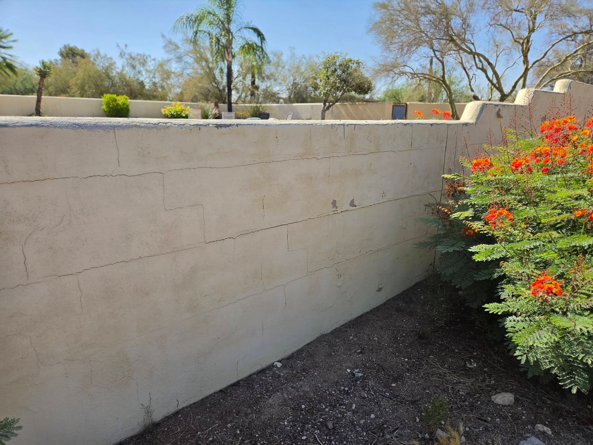 Before: unfinished block wall with visible surface damage